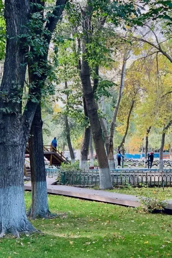 篮球训练术语大全集图片_0